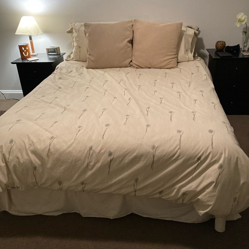 Calvin Klein comforter cover, bed skirt, & pillows shams, incl comforter